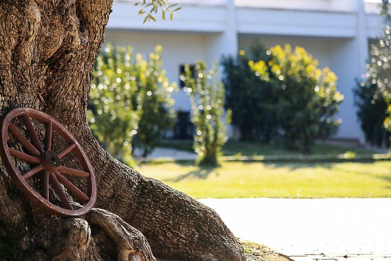 Hotel Eden Carovigno Dış mekan fotoğraf